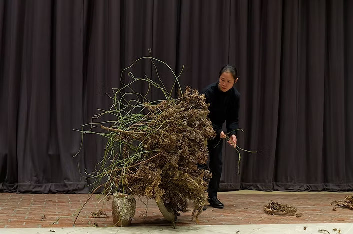 Ethno-Botanic Resonance → Starlit Ethnobotanical Wonders, London · Ishigaki